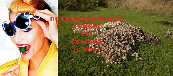 apvp Верея