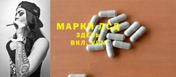 гидра Верхний Тагил