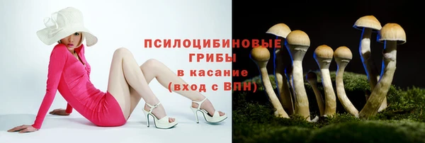 гидра Верхний Тагил