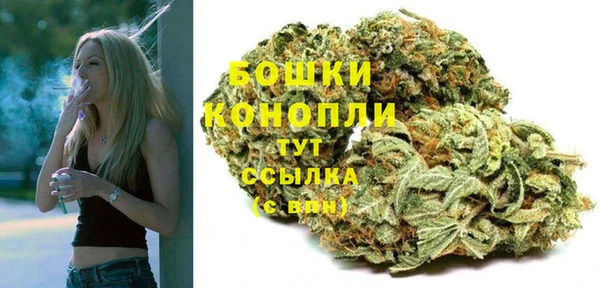apvp Верея