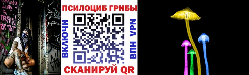Псилоцибиновые грибы Magic Shrooms  Электрогорск 